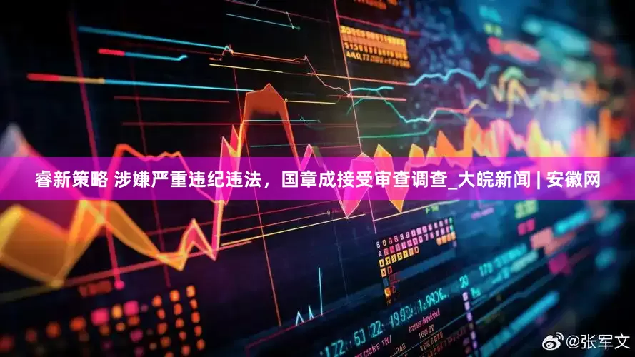 睿新策略 涉嫌严重违纪违法，国章成接受审查调查_大皖新闻 | 安徽网