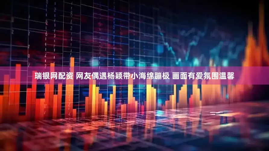 瑞银网配资 网友偶遇杨颖带小海绵蹦极 画面有爱氛围温馨