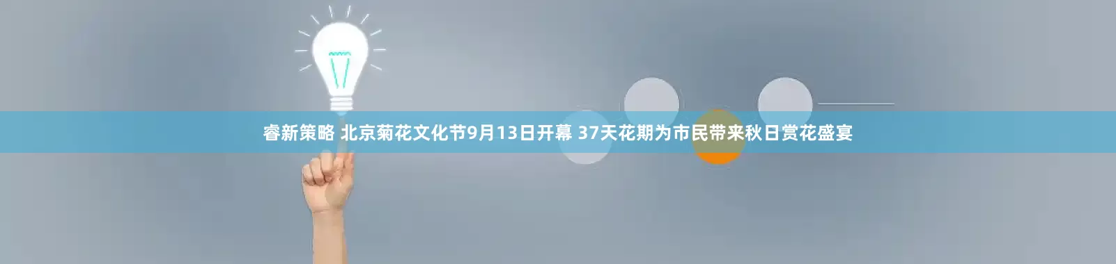 睿新策略 北京菊花文化节9月13日开幕 37天花期为市民带来秋日赏花盛宴