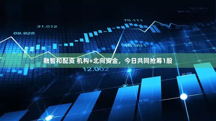 融智和配资 机构+北向资金，今日共同抢筹1股