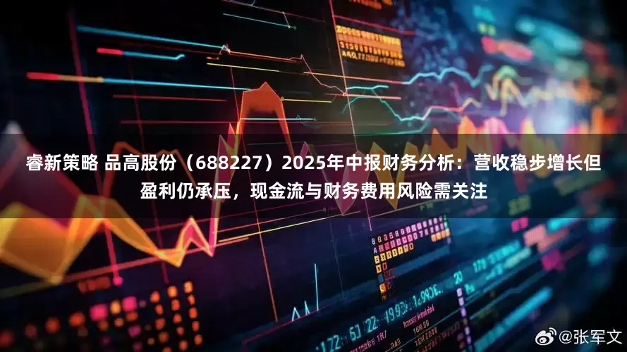 睿新策略 品高股份（688227）2025年中报财务分析：营收稳步增长但盈利仍承压，现金流与财务费用风险需关注